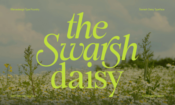 Swarsh Daisy: A Refined Serif Font for Editorial Stories